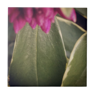Flora Tile- Daphne Tile
