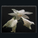 Floral 12 Month Calendar<br><div class="desc">The calendar features floral subjects I have collected over time. I've attended flower shows, visited peoples back yards, several botanical gardens as well as a few State and National Parks in order to complete the project. These calendars are unique in that YOU can choose the month you want them to...</div>