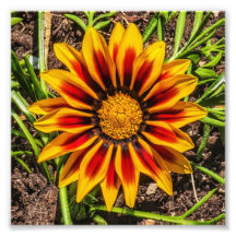 Floral 1 photo print