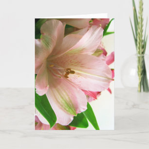 Floral All occassion Card
