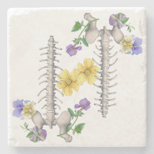 Floral Anatomy - Vertebrae, Hip Bone Stone Coaster