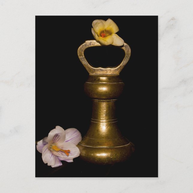 Floral Attraction Postcard (Front)