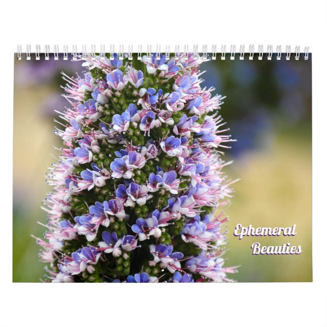 Floral Beauties from my Garden Collection Calendar (Cover)