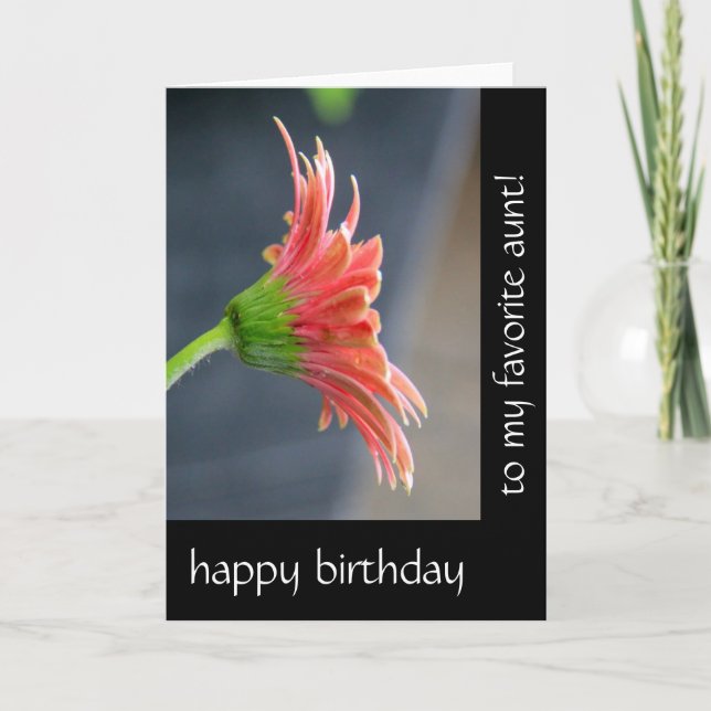 Floral Birthday for Aunt, Pink Gerbera Daisy Card (Front)