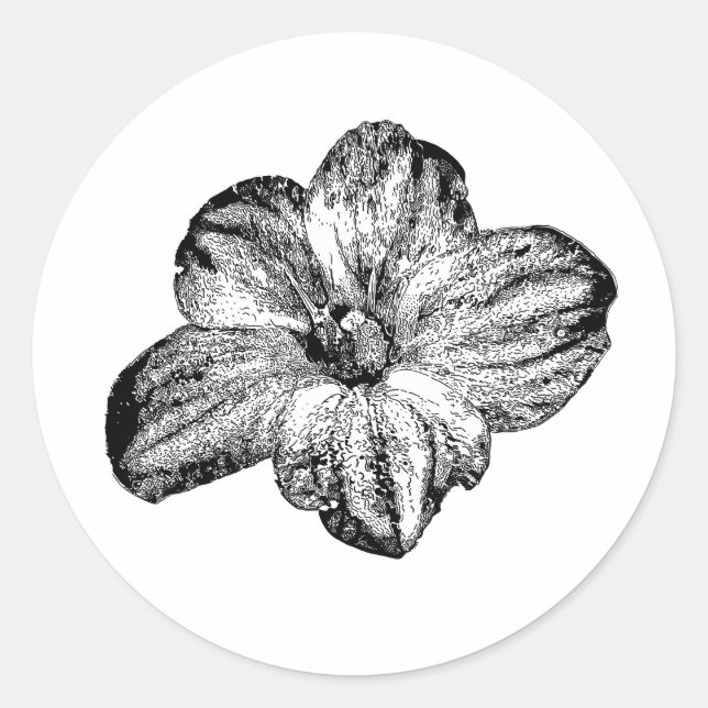 Floral Bloom Dawn Saxifraga Sticker (Front)
