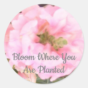 Floral - Bloom Where You Are Planted Classic Round Sticker