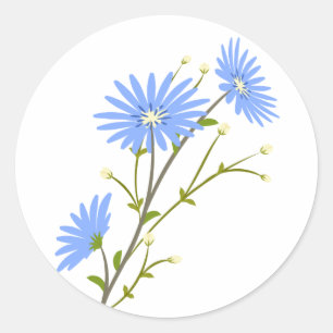 Floral Blue Daisy Flower Wedding Daisies Classic Round Sticker