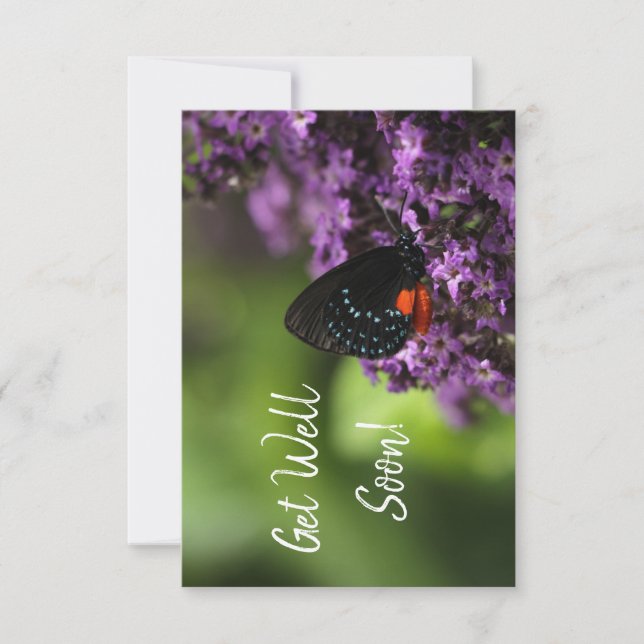 Floral butterfly get well card (Front)