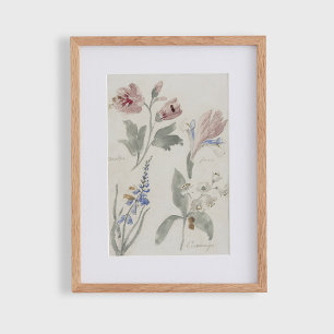 Floral c, vintage nursery  poster