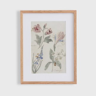 Floral c, vintage nursery  poster