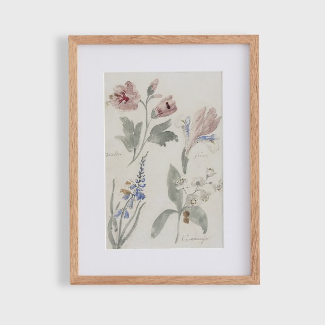 Floral c, vintage nursery  poster (Creator Uploaded)
