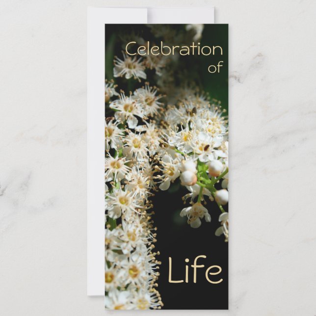 Floral Celebration of Life 2 Invitation (Front)