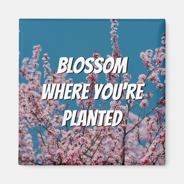 Floral Cherry BLOSSOM WHERE YOU'RE PLANTED Magnet (Front)
