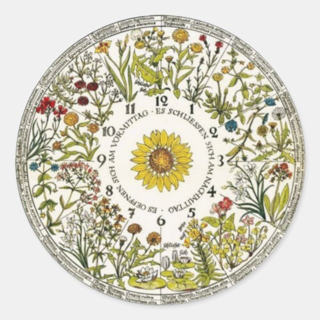 Floral Clock Garden Planting Classic Round Sticker (Front)