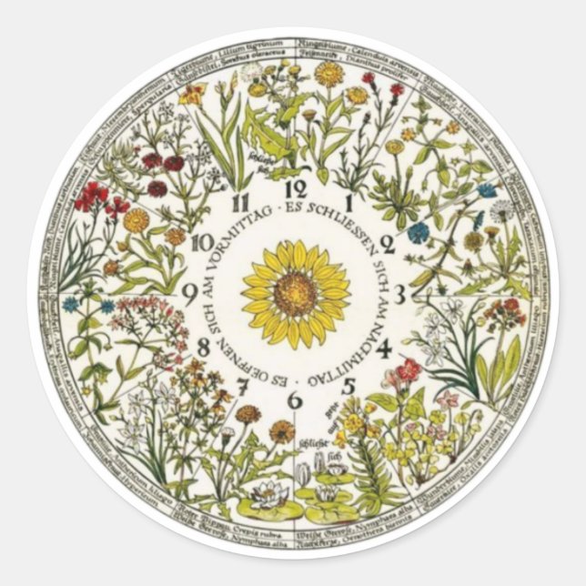 Floral Clock Garden Planting  Classic Round Sticker (Front)