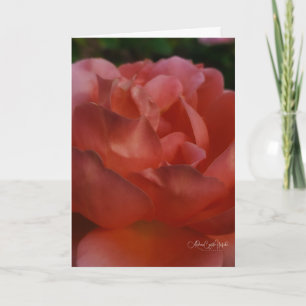 Floral Close Up Card