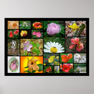 Floral Collage #2 Poster
