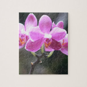 Floral collection jigsaw puzzle