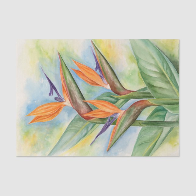 Floral Decoupage Birds Of Paradise Watercolor Tissue Paper (Front)