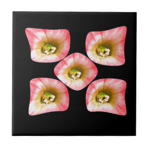 Floral Delight Tile