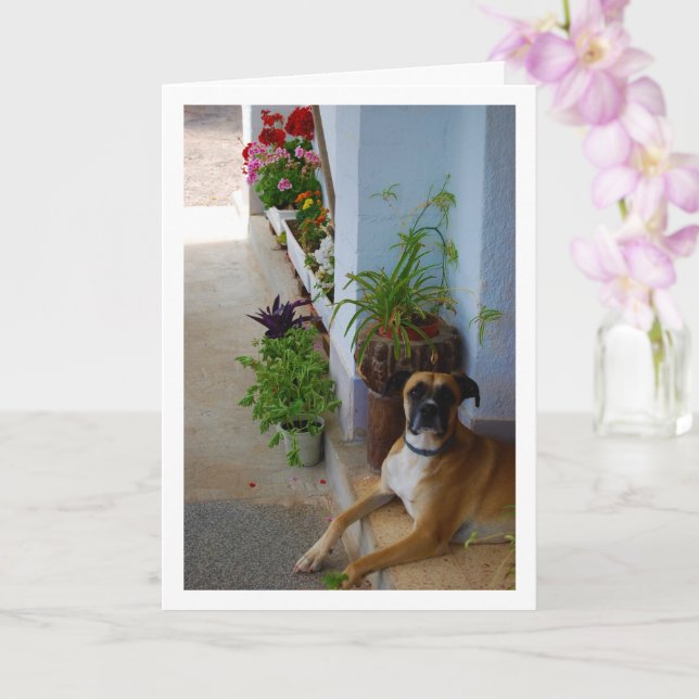 Floral Dog Portrait Card (Orchid)
