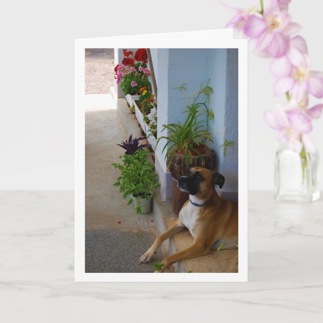 Floral Dog Portrait Card (Orchid)