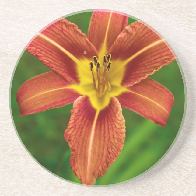 Floral Drink Coaster (Front)