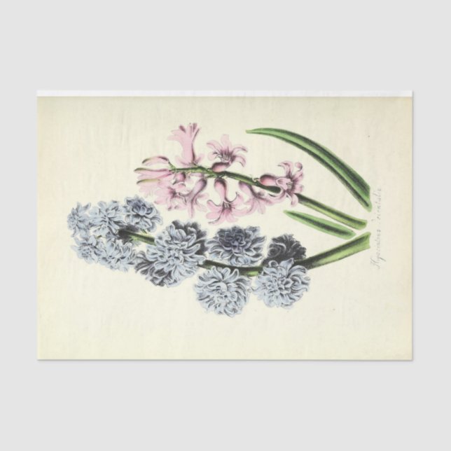 Floral Ephemera Decoupage Blue and Pink Tissue Paper (Front)