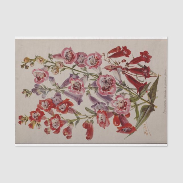 Floral Ephemera Decoupage Pink Burgundy Tissue Paper (Front)