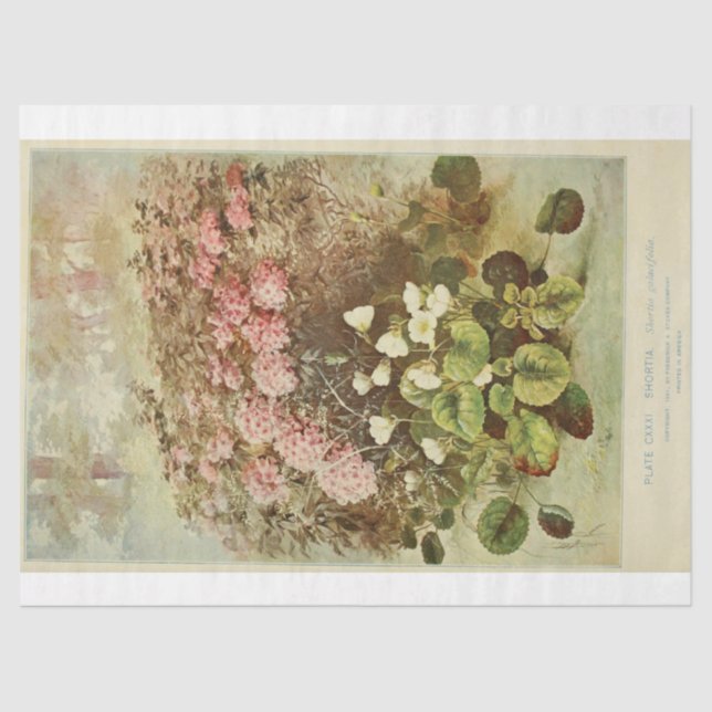 Floral Ephemera Decoupage Pink Hydrangeas Tissue Paper (Front)