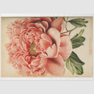 Floral Ephemera Decoupage Pink Peony Tissue Paper