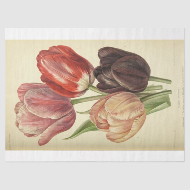 Floral Ephemera Decoupage Pink Purple Spring Tulip Tissue Paper (Front)