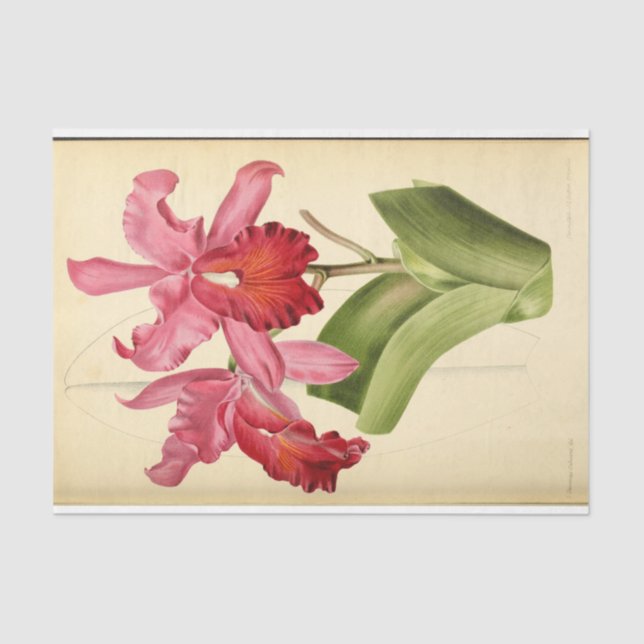 Floral Ephemera Decoupage Pink Tissue Paper (Front)