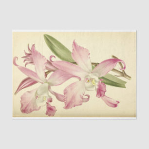 Floral Ephemera Decoupage Pink Tissue Paper