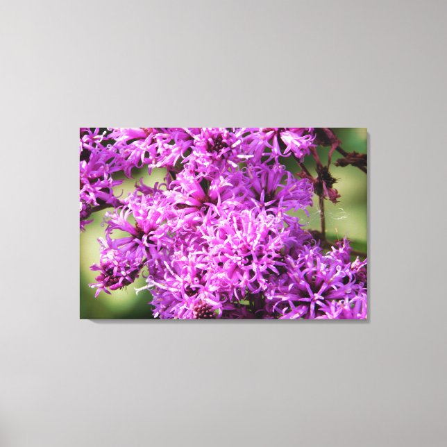 Floral Fantasy Canvas Print (Front)