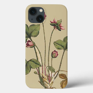 Floral Flower Botanical Garden iPhone 6 Case
