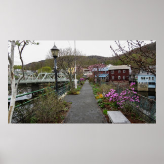 Floral Footbridge Poster