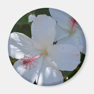 Floral Fragrance Magnet