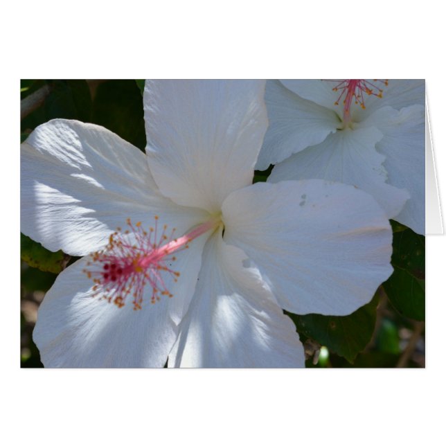 Floral Fragrance Note Card (Front Horizontal)