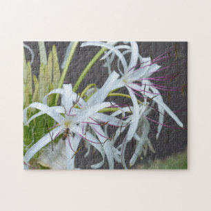 Floral Fragrance Puzzle
