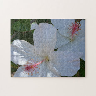 Floral Fragrance Puzzle