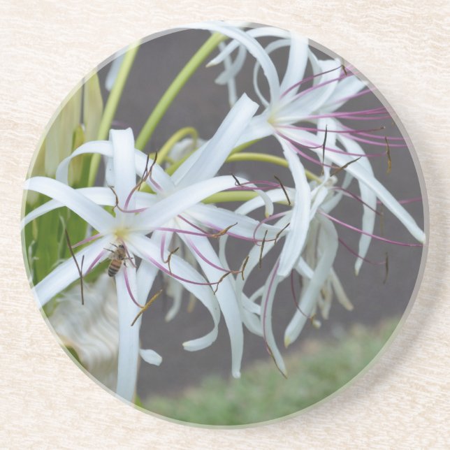 Floral Fragrance Sandstone Coaster (Front)