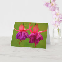 Floral Friendship Cancer Encouragement