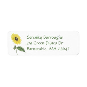 Floral Garden Summer Yellow Sunflower