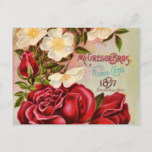 Floral Gem Roses Vintage Flower Catalogue Cover Postcard