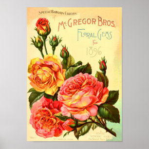 Floral Gems Roses Vintage Seed Catalogue Cover Poster