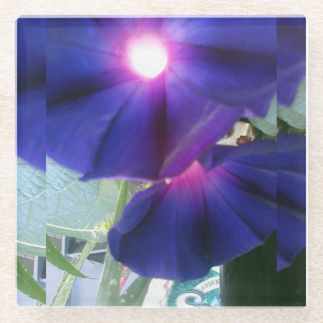 Floral Glass Coaster (Front)