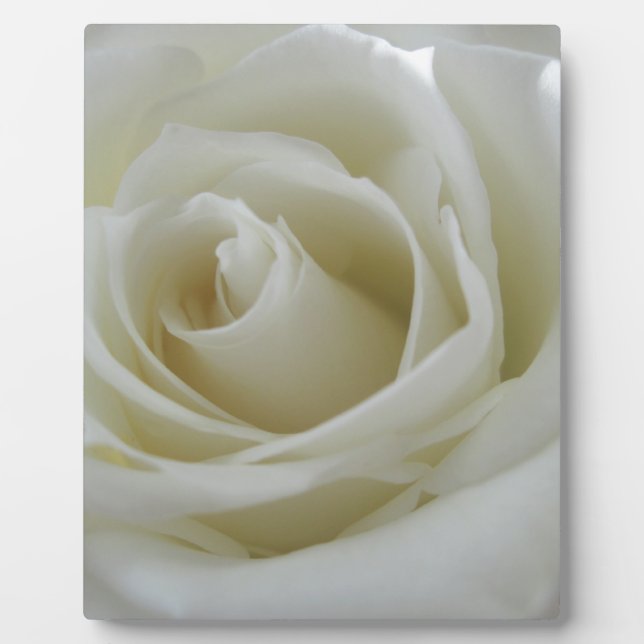 Floral Glow Plaque (Front)