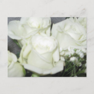 Floral Glow Postcard