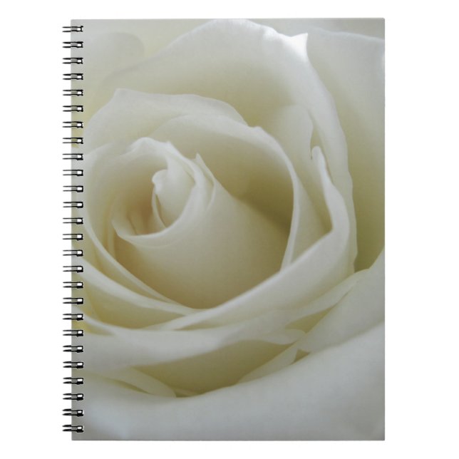 Floral Glow Spiral Notebook (Front)